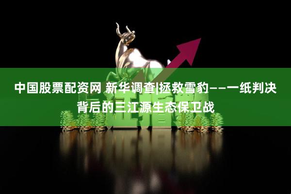 中国股票配资网 新华调查|拯救雪豹——一纸判决背后的三江源生态保卫战