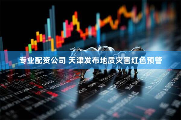 专业配资公司 天津发布地质灾害红色预警