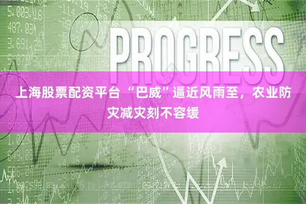 上海股票配资平台 “巴威”逼近风雨至，农业防灾减灾刻不容缓